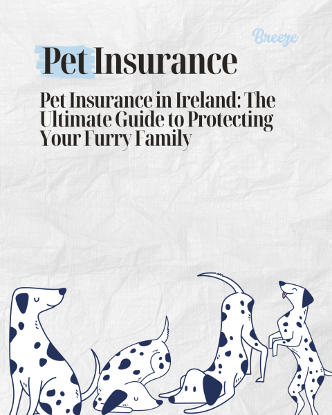 Pet Insurance